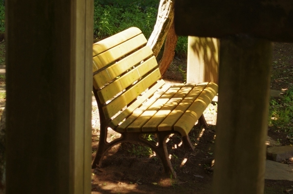 042-w.jpg