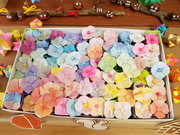 20210602_143947.jpg