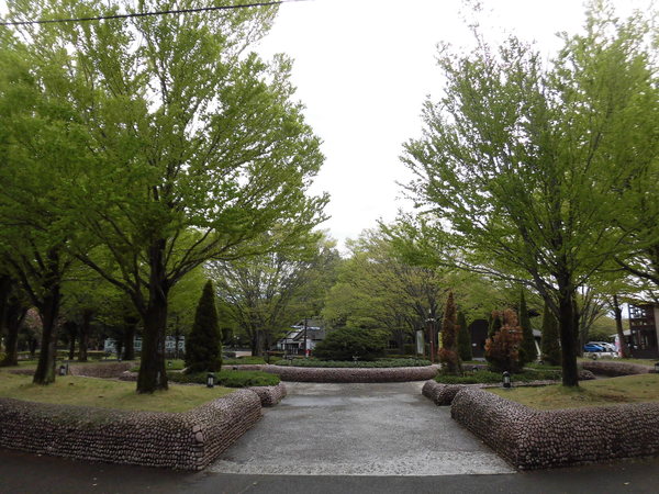 CIMG0689.JPG