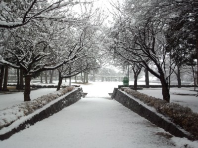 DSC_0097_R.jpg