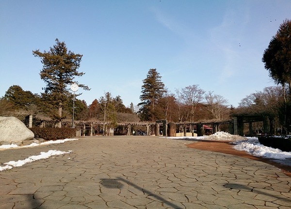 DSC_0125.jpgw.jpg
