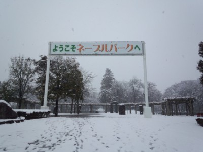 DSC_0130_R.jpg