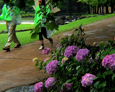 IMGP0286.jpg