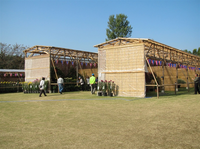 IMG_3515_R.jpg